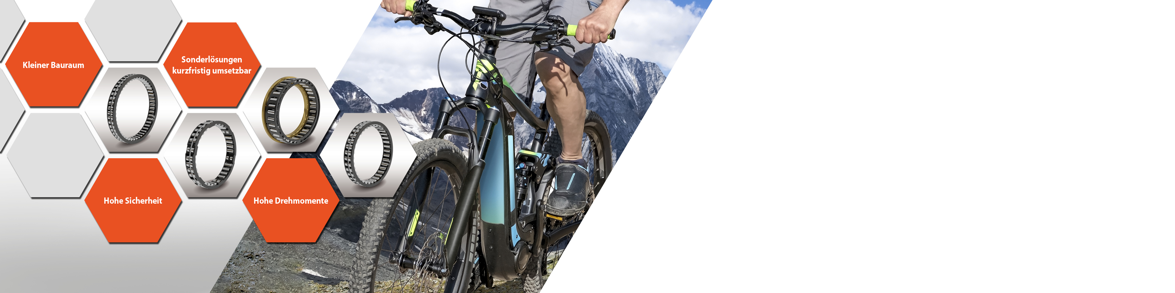 Käfigfreiläufe für E-Bike-Antriebe